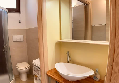 Bagno con doccia ad angolo, lavabo su piano in legno, specchio, e WC.